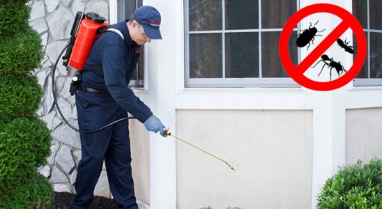 Niğde Böcek ve Haşere İlaçlama böcek ilaçlama ve haşere kontrolü — ilaclama-tr.com
